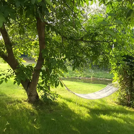 Mazurska Zagroda - Zabi Rechot - Dom - Stodola - Jacuzi-sauna Chalet *