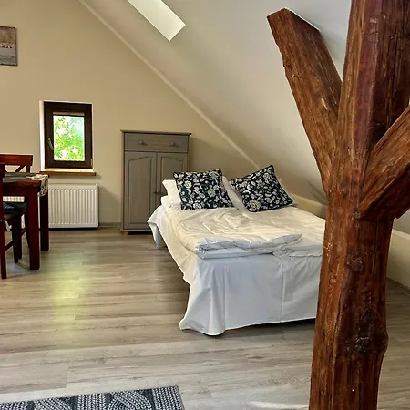 Mazurska Zagroda - Zabi Rechot - Dom - Stodola - Jacuzi-sauna Chalet *