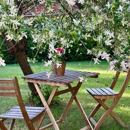 Mazurska Zagroda - Zabi Rechot - Dom - Stodola - Jacuzi-sauna * Worliny