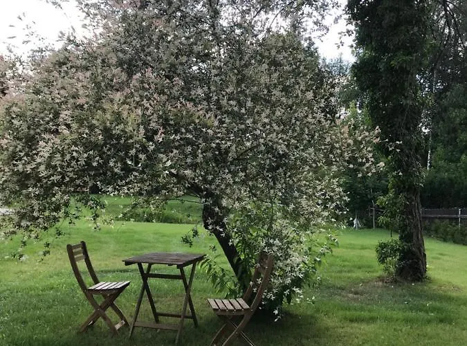 Mazurska Zagroda - Zabi Rechot - Dom - Stodola - Jacuzi-sauna *