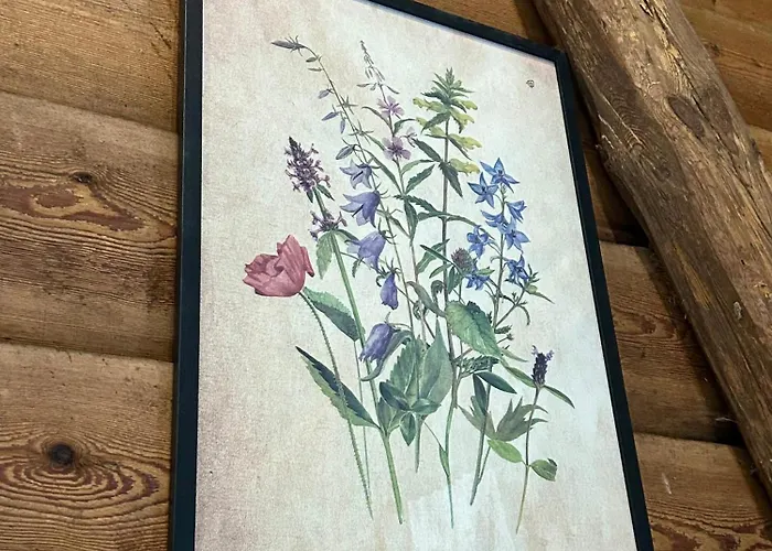 Mazurska Zagroda - Zabi Rechot - Dom - Stodola - Jacuzi-sauna Horská chata